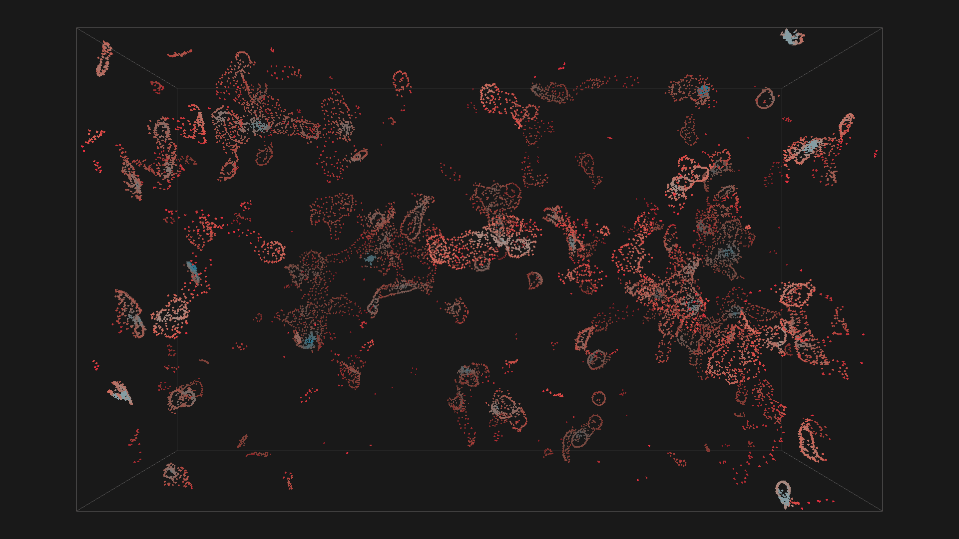 boids forming circles